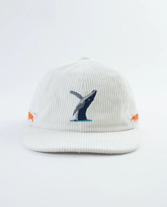 Lies Collective Hat Whale Watcher