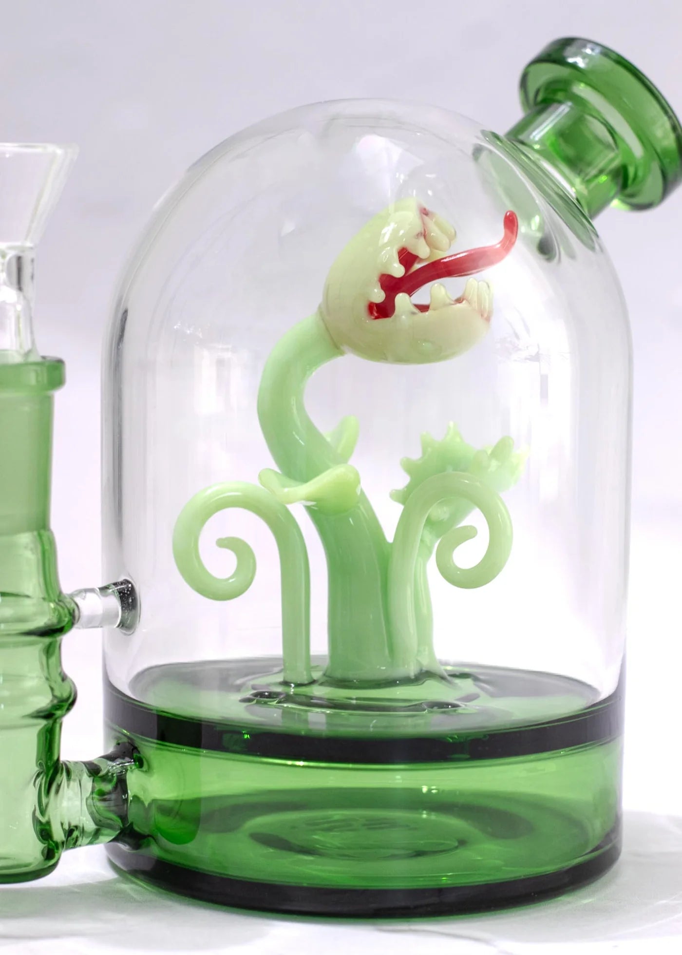 Canna Style Cloche Bong 15cm Venus Fly Trap